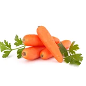 carrot