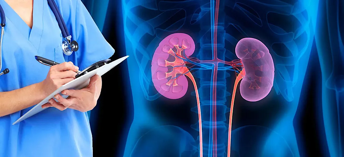 The effect of drinking water on the kidneys with Aquator